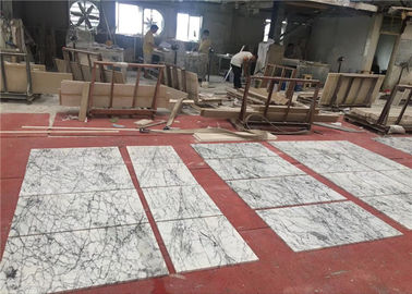 الصين 60x60cm حجم الحجر الطبيعي الرخام الأبيض بلاط الأرضية شطبة المزود